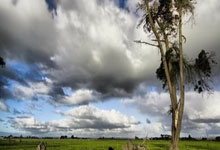 九游娱乐-德布劳内连续十场比赛得分超过晋级下一阶段，RNG不断突破！上演精彩一战(德布劳内去哪了)